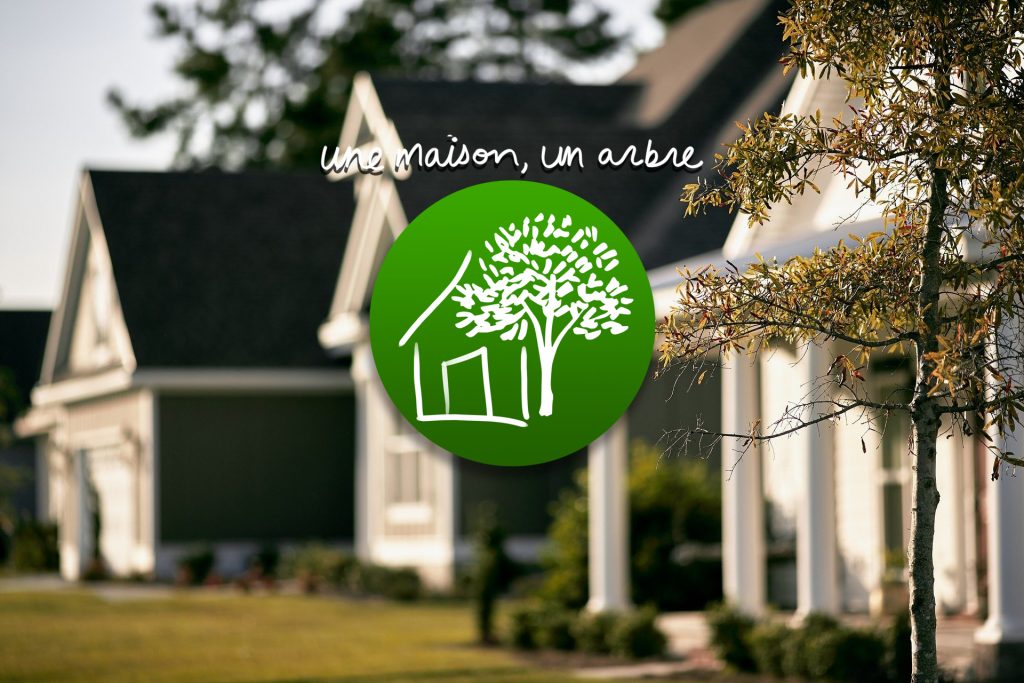 programme maison arbre