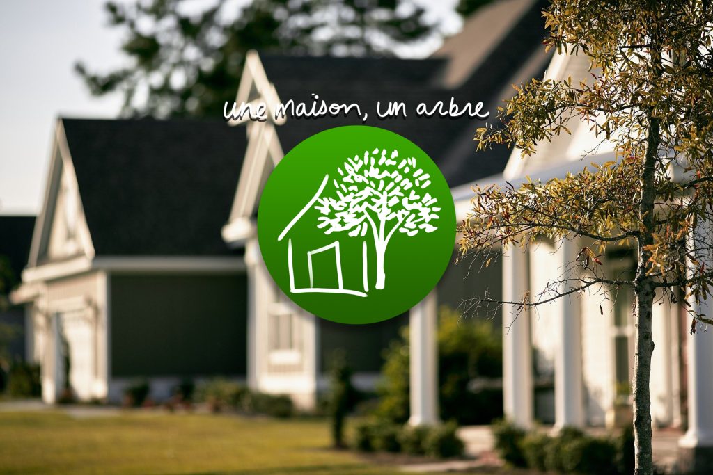 programme maison arbre