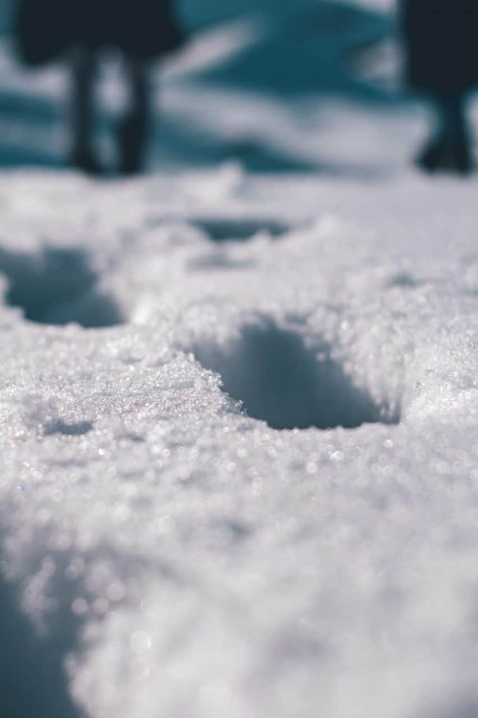 S'amuser en hiver