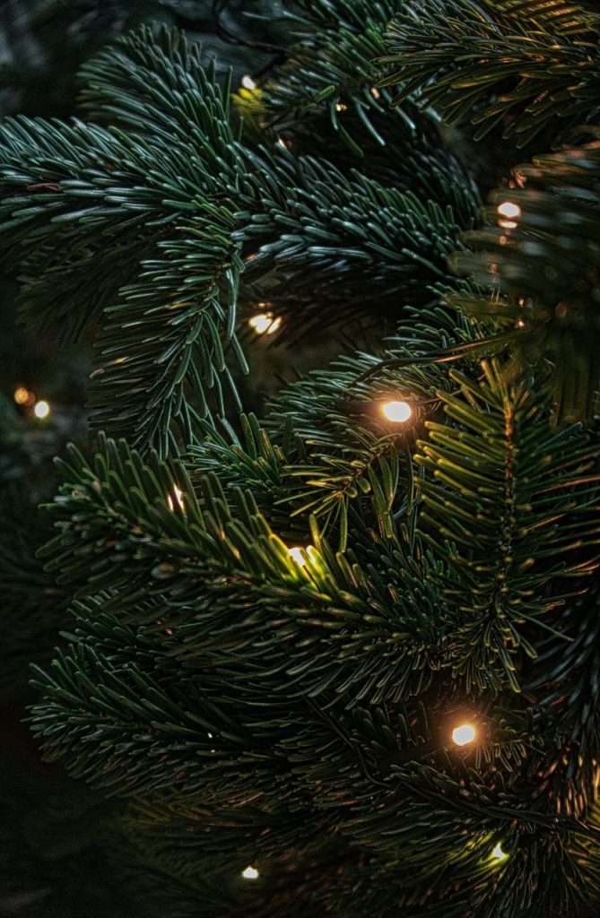 Lumières dans un sapin vu de près