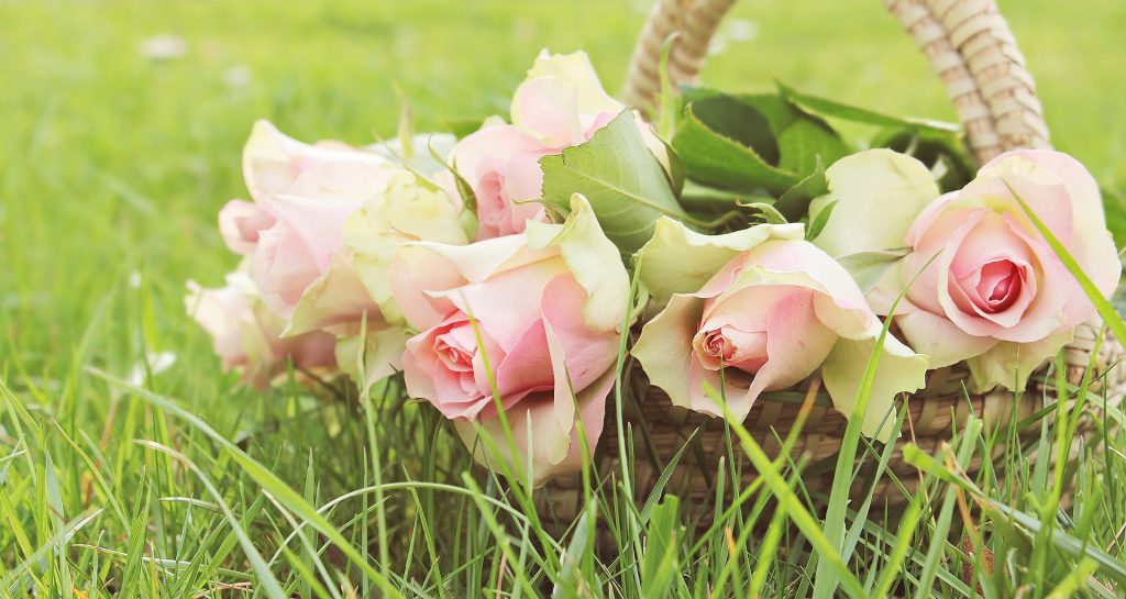 fleur fête des mères