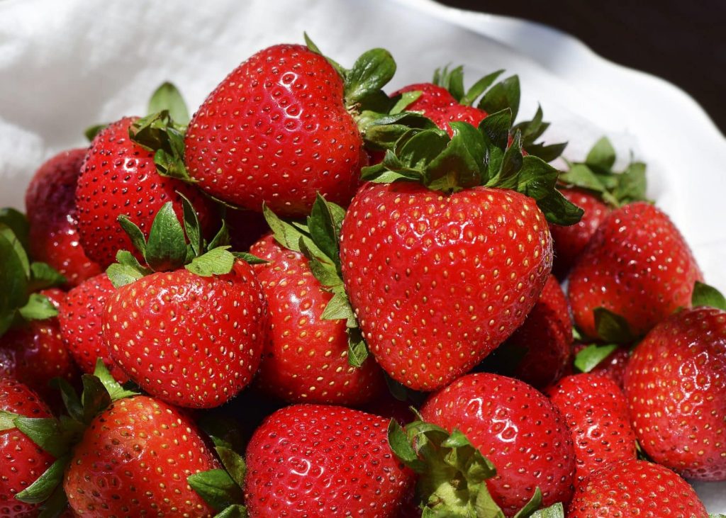 Gros plan sur un plat de fraises