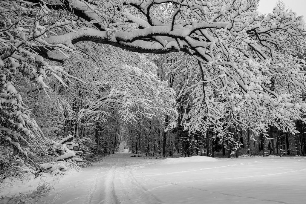 Promenade hiver